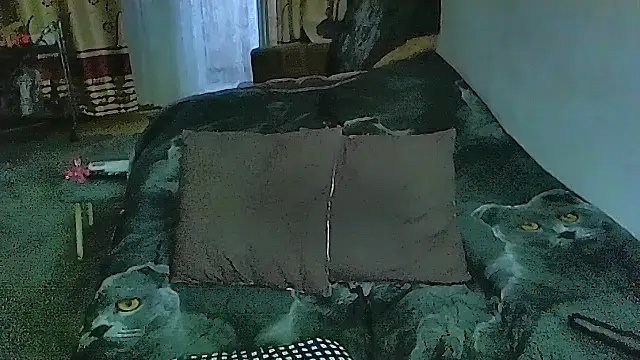 Živý XXX chat sex2