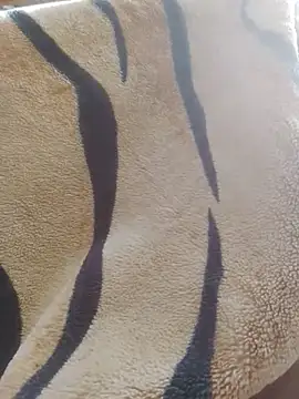 zsexpaar2 – Kamerová šou