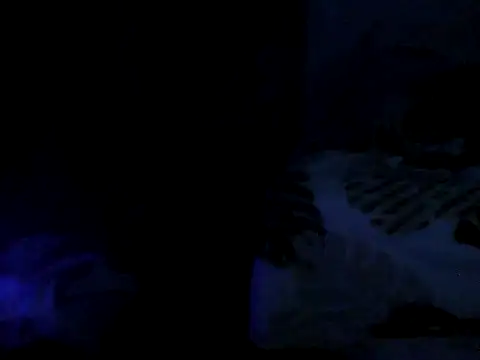 cabecaoegreluda 网络视讯表演