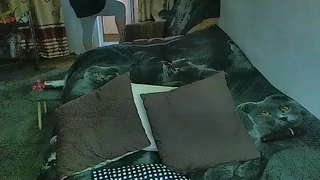 sex2 Obrolan Langsung XXX