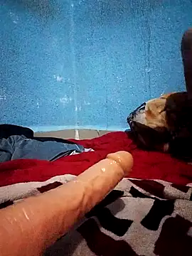 chapa18のウェブカメラショー