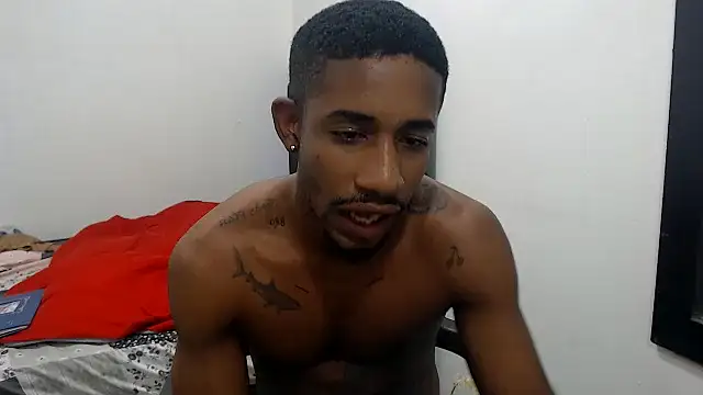 عرض كام blackhorseet