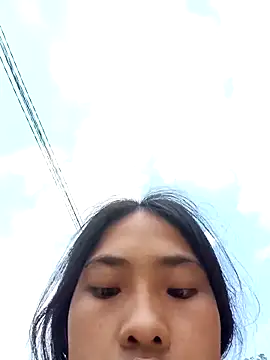 Hoa-tuylip 웹캠 쇼