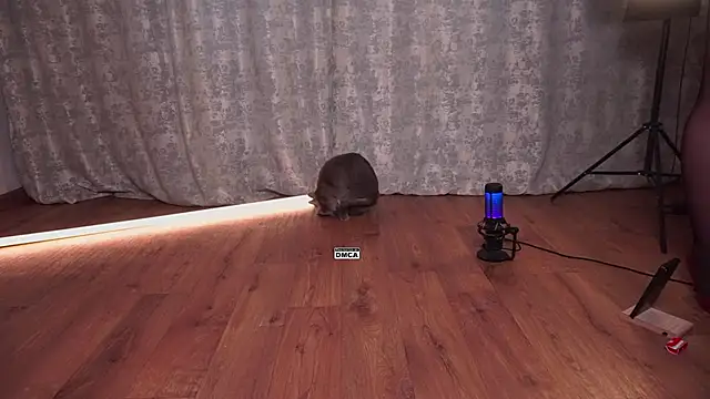 แชท XXX สดของ Hoot_owl_cb