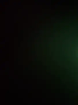 Show Webcam de LeBimbo