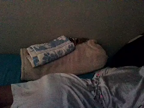 DimplesQueen: онлайн-секс-чат