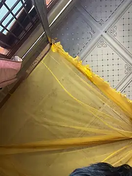 yangmangのウェブカメラショー