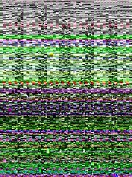 Velunaa Live XXX-chat