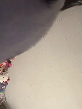 Show webcam de imawhorenslut19