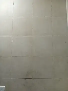 SADDLECOCK's Live XXX Chat