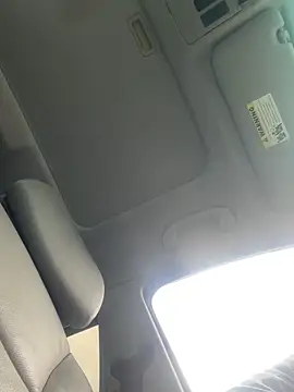 Flossy_Vettie 웹캠 쇼