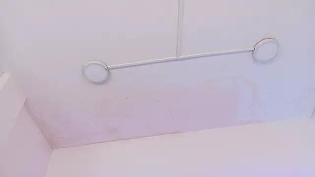 Saylen_Queen Live XXX-Chat