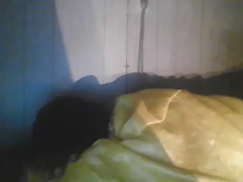 XXX chat uživo modela Prikev38452