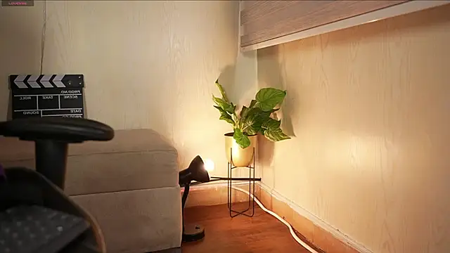 David_capizzi_のウェブカメラショー