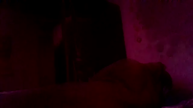 Show webcam de Nuttygmarley