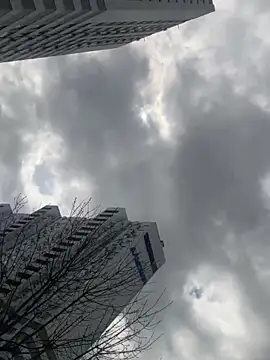 Chat XXX en directo de Flossy_Vettie