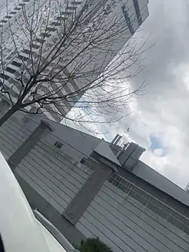 Flossy_Vettie 라이브 XXX 채팅