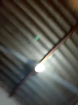 Show modela brehyder na web-kameri