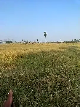 leelavathi-telugu's Live XXX Chat