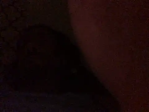 Kappthat Webcam-Show