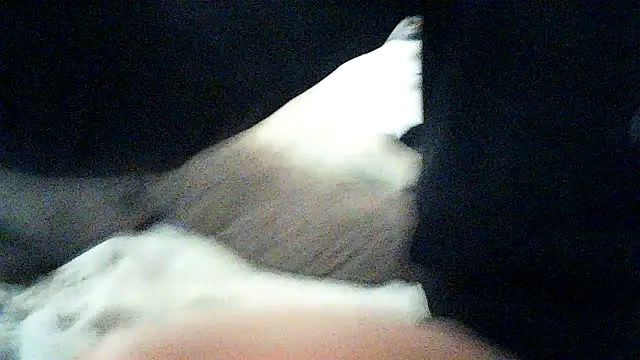 Meistro30 Webcamshow