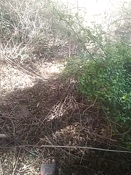 Aadityaaa07's Webcam Show