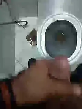 Stallionbull37 Live XXX-Chat