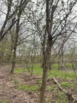 Вебкам-шоу SweetCuteGirls1023