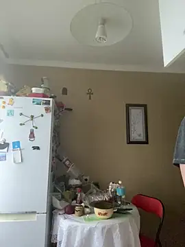 Frosln Webbikameraesitys