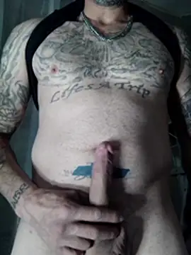 wesstfinen Webbikameraesitys