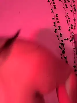 Chat XXX en directo de butterfly777_