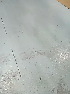 Show Webcam de Stallionbull37