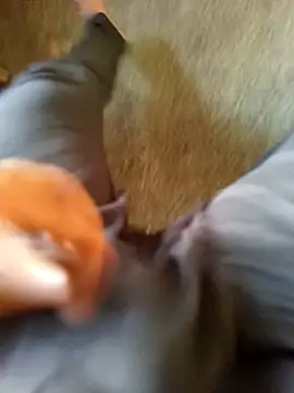 rahul2222 网络视讯表演