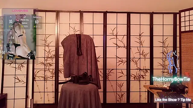 Вебкам-шоу thehornybowtie
