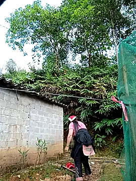 kalara_kail 网络视讯表演