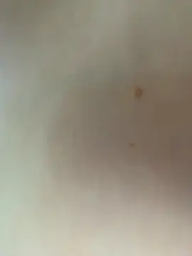 TheCinderella – Naživo XXX chat