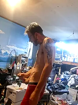 Show webcam de In2itvegassstyle