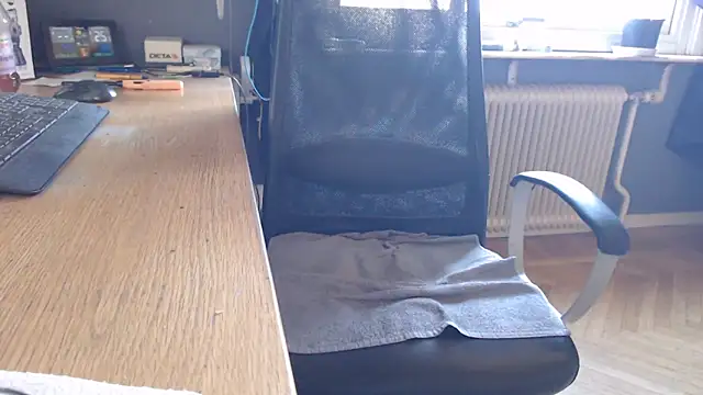 endastjag 웹캠 쇼