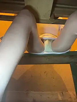 littleqiu 网络视讯表演