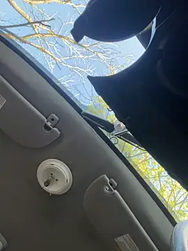 Bigdickbobby91: онлайн-секс-чат