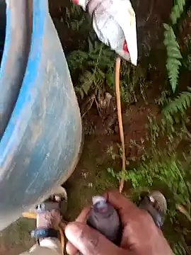 sanju_5418 Webcamshow