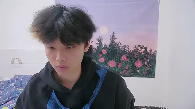 icecream-002n Webbikameraesitys