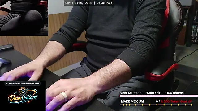 Show Webcam de DeanonCam