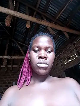 holygrail001n Webbikameraesitys