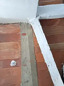 Cataleya_ja 现场XXX聊天