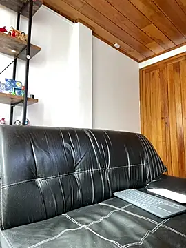 ADONIS_ART01のウェブカメラショー