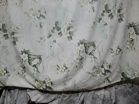 BBC_JoyBoin Webbikameraesitys