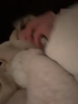 دردشة RonnieKiss الجنسية المباشرة