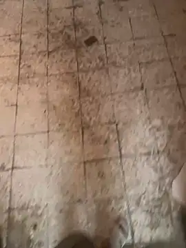 Show de webcam de Hehjehjeqll