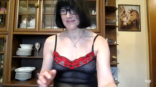 Vlastelina Webcam-Show